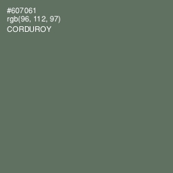 #607061 - Corduroy Color Image
