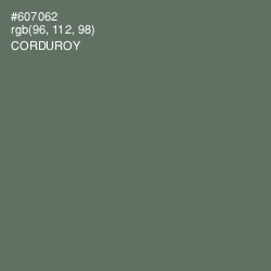 #607062 - Corduroy Color Image