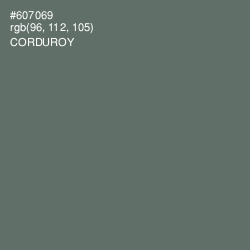 #607069 - Corduroy Color Image