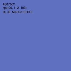 #6070C1 - Blue Marguerite Color Image