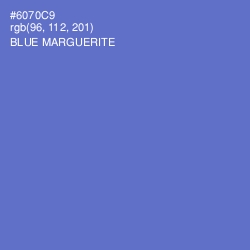 #6070C9 - Blue Marguerite Color Image