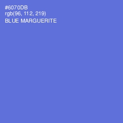 #6070DB - Blue Marguerite Color Image