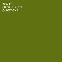#607111 - Olivetone Color Image
