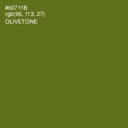 #60711B - Olivetone Color Image