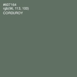 #607164 - Corduroy Color Image