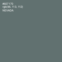 #607170 - Nevada Color Image