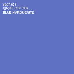 #6071C1 - Blue Marguerite Color Image