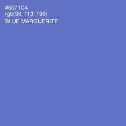 #6071C4 - Blue Marguerite Color Image