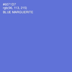 #6071D7 - Blue Marguerite Color Image