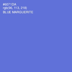 #6071DA - Blue Marguerite Color Image