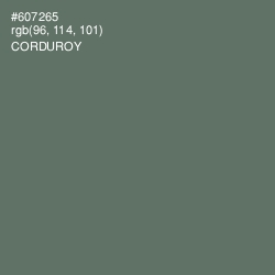 #607265 - Corduroy Color Image