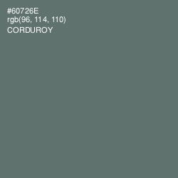 #60726E - Corduroy Color Image