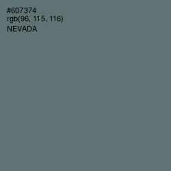 #607374 - Nevada Color Image