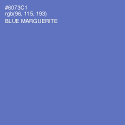 #6073C1 - Blue Marguerite Color Image