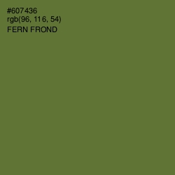 #607436 - Fern Frond Color Image