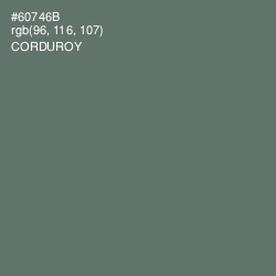 #60746B - Corduroy Color Image
