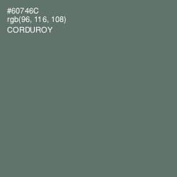 #60746C - Corduroy Color Image