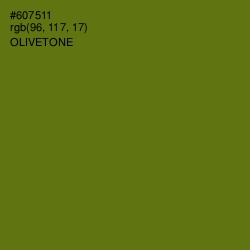 #607511 - Olivetone Color Image