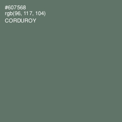 #607568 - Corduroy Color Image