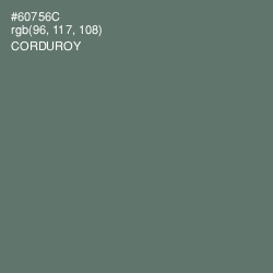#60756C - Corduroy Color Image