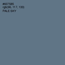 #607585 - Pale Sky Color Image