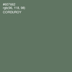 #607662 - Corduroy Color Image