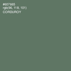 #607665 - Corduroy Color Image