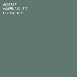 #60786F - Corduroy Color Image