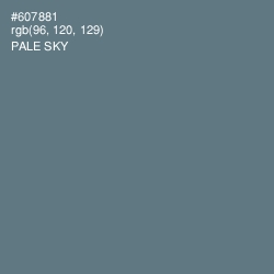 #607881 - Pale Sky Color Image