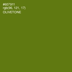 #607911 - Olivetone Color Image