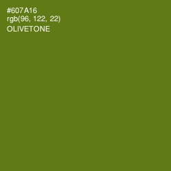 #607A16 - Olivetone Color Image