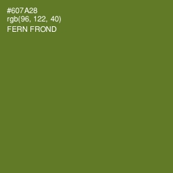 #607A28 - Fern Frond Color Image