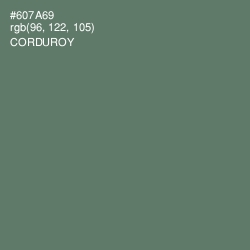 #607A69 - Corduroy Color Image
