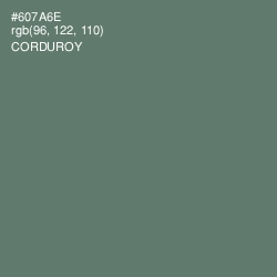 #607A6E - Corduroy Color Image