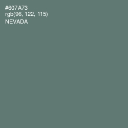 #607A73 - Nevada Color Image