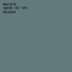 #607A7D - Nevada Color Image