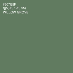 #607B5F - Willow Grove Color Image