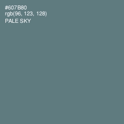 #607B80 - Pale Sky Color Image