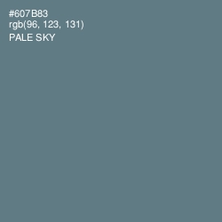 #607B83 - Pale Sky Color Image