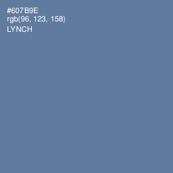 #607B9E - Lynch Color Image