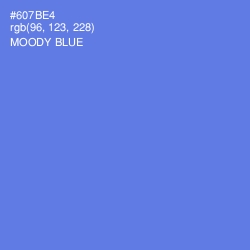 #607BE4 - Moody Blue Color Image