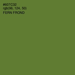 #607C32 - Fern Frond Color Image