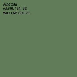 #607C58 - Willow Grove Color Image