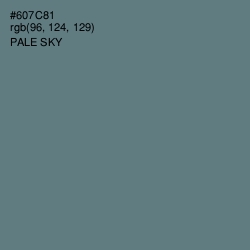 #607C81 - Pale Sky Color Image