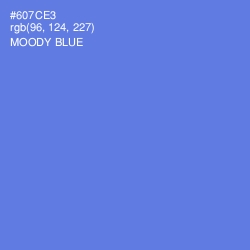 #607CE3 - Moody Blue Color Image