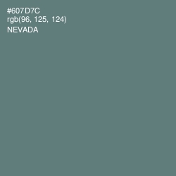 #607D7C - Nevada Color Image