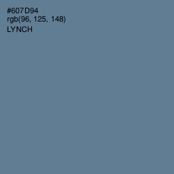 #607D94 - Lynch Color Image