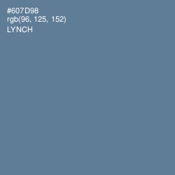 #607D98 - Lynch Color Image