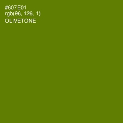 #607E01 - Olivetone Color Image