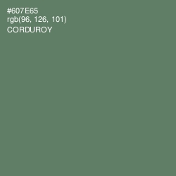 #607E65 - Corduroy Color Image